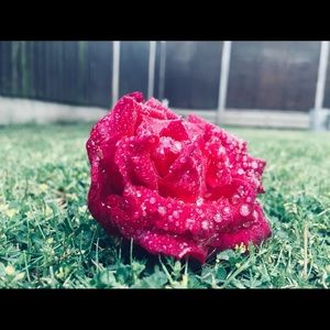 Meet your Posher, Aryan